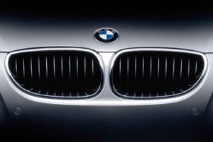 BMW Kidney Grille signature element